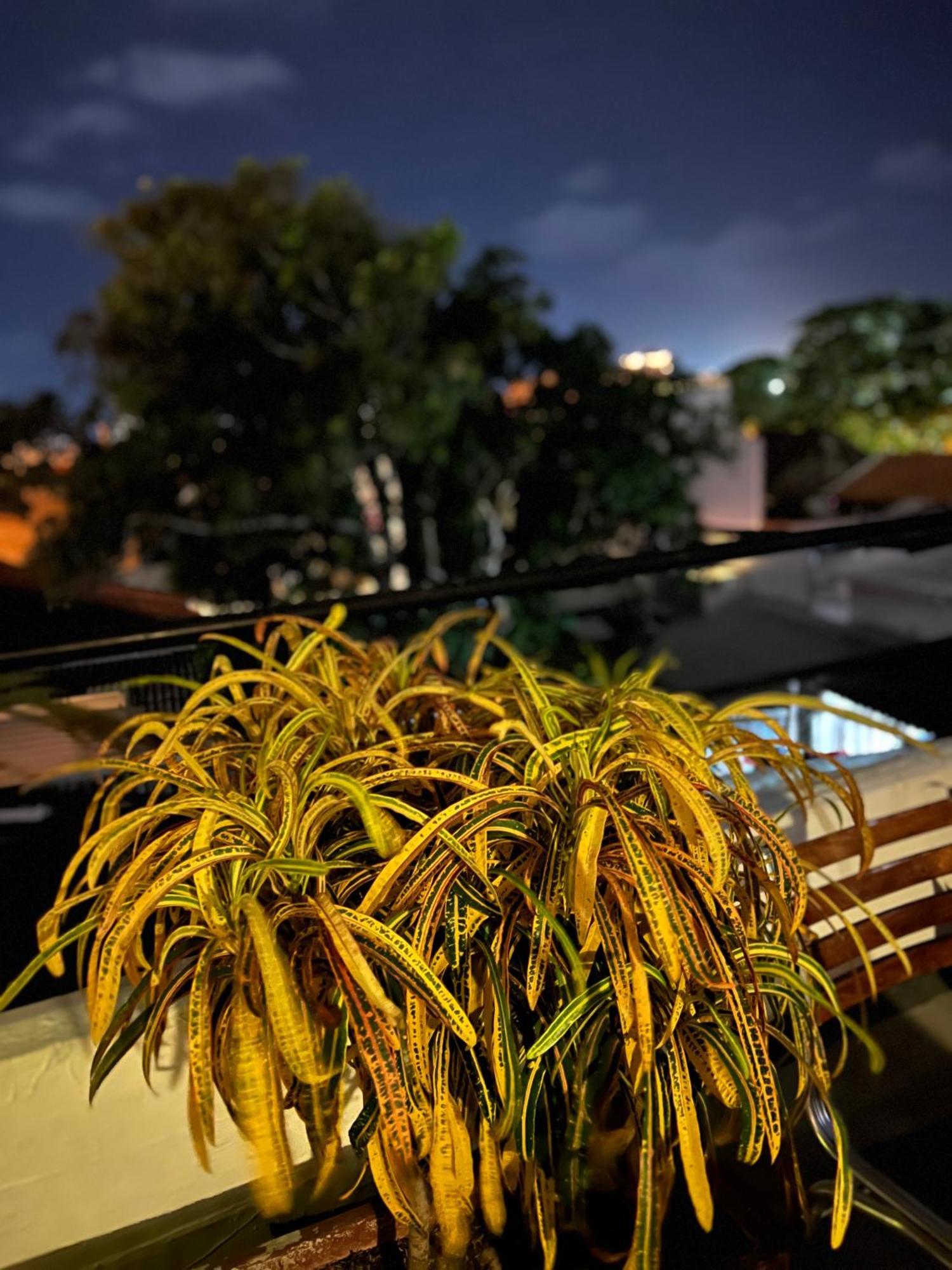 La Viduka Hostel Cartagena 외부 사진